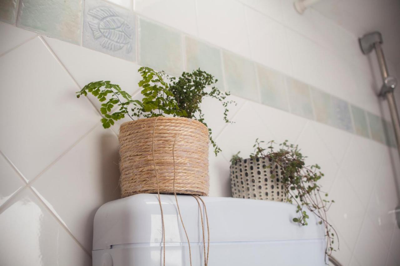 Amarilis Rooms Grožnjan 外观 照片